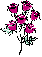 Flowers-Graphic