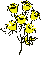 Flowers-Graphic