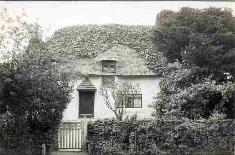rEED cOTTAGE