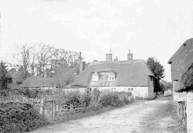 Thatched Cottage